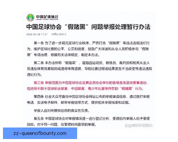 中国足球开启职业联赛最严格准入审核确保俱乐部规范发展 中国足球开启职业联赛最严格准入审核确保俱乐部规范发展